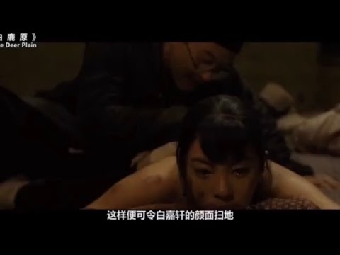 《白鹿原》张丰毅 张雨绮—中