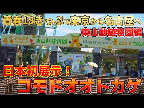 青春18きっぷで東京から日帰り名古屋観光！東山動物園で日本初の動物を見る！！