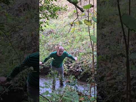 Riparian Estuary Woodlands #forest #adventure #coast #swampland #woodland #explore #nature #mud