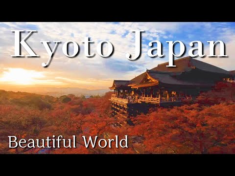 Sightseeing in Kyoto  The most beautiful autumn in the world