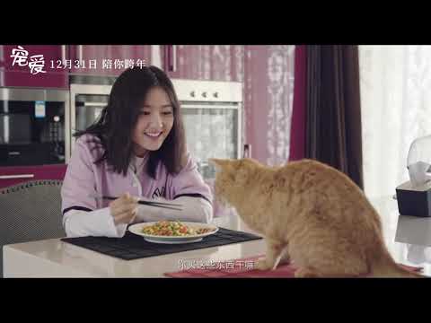 《宠爱 Adoring》2019“于和伟和李兰迪篇”電影预告 | 于和伟 吴磊 张子枫 钟汉良 陈伟霆 钟楚曦