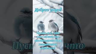 Доброе утро! #открытки #доброеутро #хорошегодня