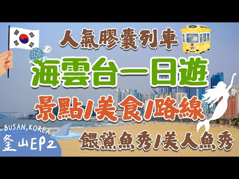 釜山必去景點🔥EP2！海雲台一日遊🏖️遊客最愛的休閒渡假區｜超人氣天空膠囊列車🚆SEALIFE釜山水族館🦈超豐富餵食秀、人魚表演🧜‍♀️必吃美食推薦！比臉還大的海鮮刀削麵｜Busan, Korea