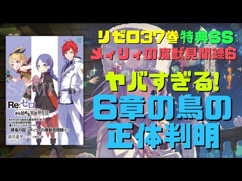 リゼロ37巻特典SS『親竜の国/メィリィの魔獣見聞録⑥』解説考察！6章の鳥の正体が判明！監視していたのは●●●●！