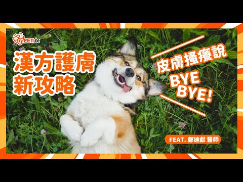 漢方護膚新攻略~皮膚搔癢說BYE BYE! Feat. 鄭廸獻醫師【哈寵小學堂】｜#哈寵PETube 第299集