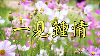 一見鍾情  ~ 小平薩克斯風 / 很好听很洗脑 #萨克斯 #老歌 #放鬆