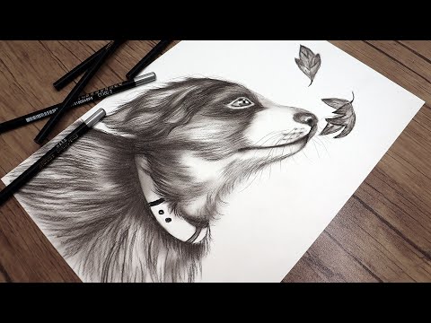 How to Draw a Cute Dog and Leaves| Step by Step Drawing