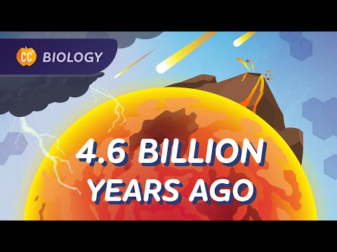 Evolutionary History: The Timeline of Life: Crash Course Biology #16