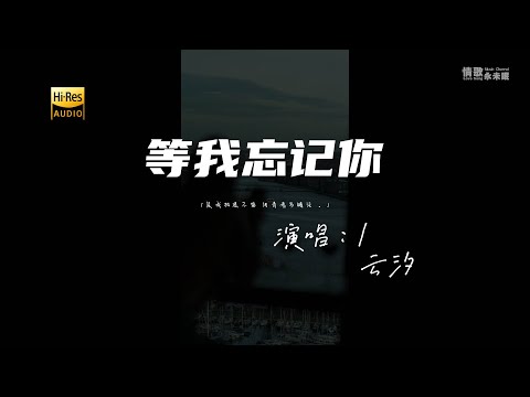 云汐 - 等我忘记你♫『是我执迷不悟 用青春当赌注 。』『动态歌词 | 高音质』