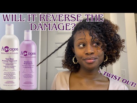 Fixing My Heat Damaged Hair & Twist Out |Aphogee Two-Step Protein Treatment