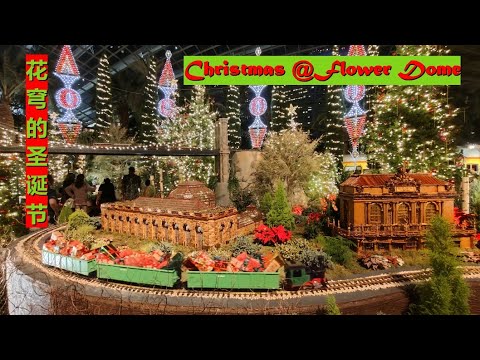 SINGAPORE | First Ever Christmas Train Show @Flower Dome, Gardens by the Bay