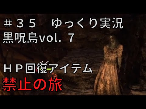 【ドラゴンズドグマダークアリズン】HP回復アイテム縛りの旅＃３５【ゆっくり実況】