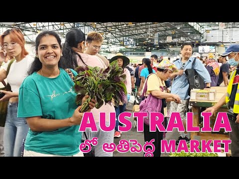 Biggest and largest vegetables market in sydney #market #youtube #sydney Lakshmidevi #explore #world