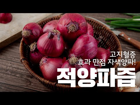 [잠백이] 적양파즙_타이포그래픽편