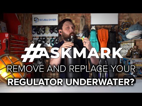 Can You Remove and Replace Your Regulator Underwater? #scuba #askmark