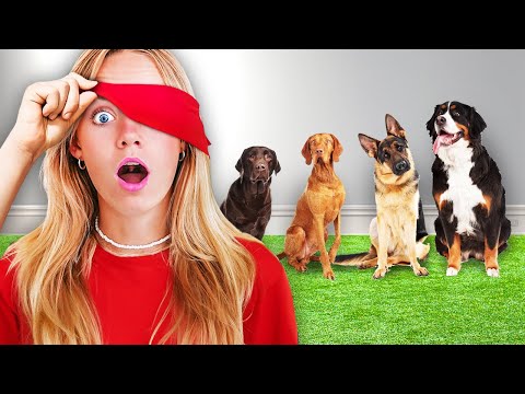 Finding our DOG Blindfolded! Angel’s Puppy Returns!