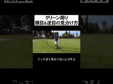 順目・逆目の見分け方 #shorts  #golf #矢野東 #男子プロ #ゴルフ