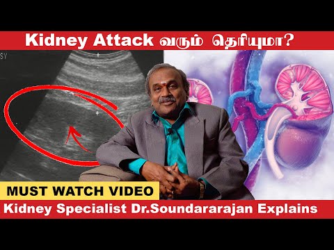 'Kidney சம்பந்தமான A-Z தகவல்கள் இங்கே..' - Kidney Specialist Dr.Soundararajan Explains | Dots Health