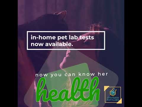 You Know Your Cat - Now You Can Know Her Health from Home