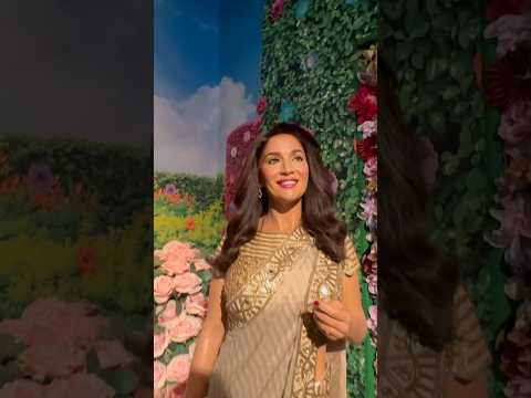 Madhuri Dixit Nene #umaisavlogs #madhuri #madhuridixit #madhuristatue #madhuridixitbirthday