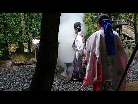 諏訪神社 湯立神事 令和6年12月15日 禰宜 寒空に湯気舞う舞う♫神秘的