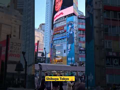 Tokyo Shibuya walk  #tokyowalk #japanlife  #4kvideo #4ktour