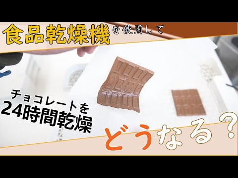 【検証】チョコレートを24時間乾燥させるとどうなる？（ドラミニ）