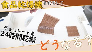 【検証】チョコレートを24時間乾燥させるとどうなる？（ドラミニ）