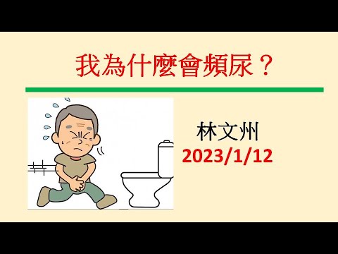 『我為什麼會頻尿？』－林文州20230112