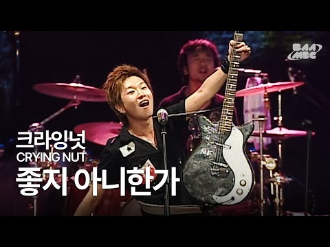 크라잉넛(Crying Nut) - 좋지 아니한가 🙏새해 첫 곡 추천🔥 @부산국제록페스티벌 2007