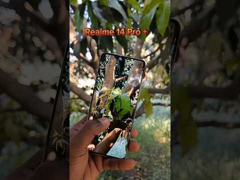 Realme 14 Pro Plus Camera Zoom Test ☑️🔥#shorts #realme14proplus