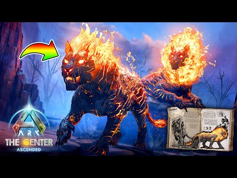 【無敵】伝説の火炎猫をテイムしろ！🐅🔥🔥🔥*新生物パイロメイン*【新ARK SURVIVAL ASCENDED/アーク/ASA】#16