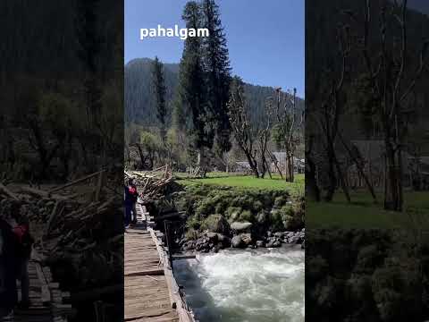 #pahalgam #himalayas #kashmirdiaries #kashmir