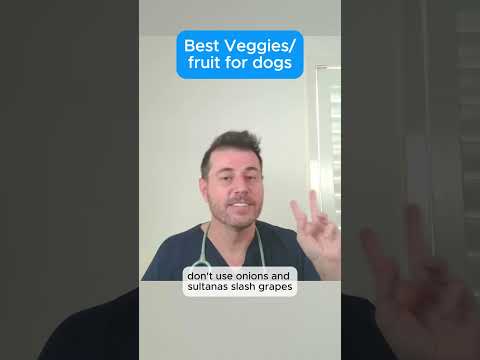 Best Veggies and Fruit for dogs!