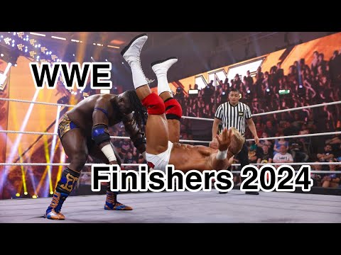 WWE All Finishers 2024 (male)