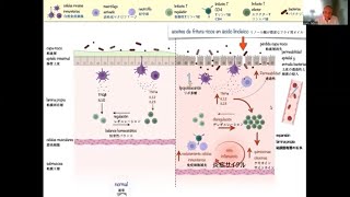 日本語プロモーションビデオ”オリーブオイルと健康4”