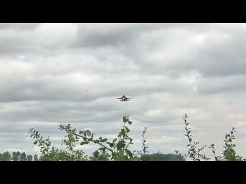 RIAT 2017 USAF Thunderbirds Over Head Landing