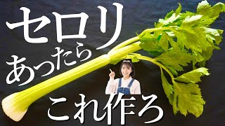 まるごと１本使用！旬のセロリはこう食べる。あえるだけで簡単絶品サラダの作り方。【節約レシピ】