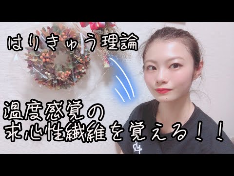 【はりきゅう理論】温度感覚の求心性繊維を語呂で覚える！！【Biancaなざと】