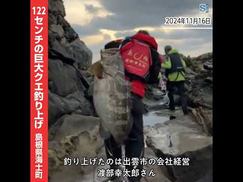 日本海最大級!?　122センチの巨大クエ釣れる　島根県海士町で磯釣り