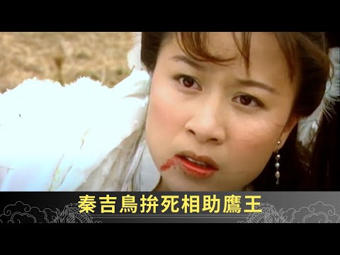 秦吉鳥拚死相助鷹王 戰勝山妖後趕回家中救妻 - 聊齋(貳) 綠野飛仙 ep10 呂頌賢 鄺文珣 江欣燕 在線重溫