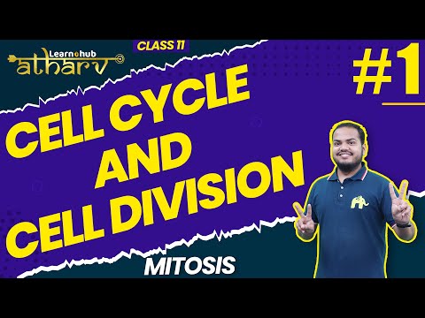 Cell Cycle and Cell Division Class 11 Biology NCERT Chapter 12 #1 | Mitosis | Atharv Batch