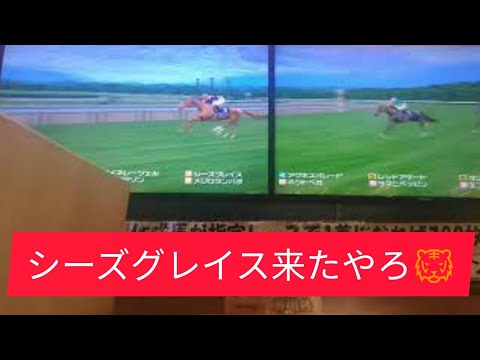 スタホリターンズ　馬券師レスリーVS リターンズ　No 4