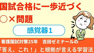 【看護師国家試験】〇×問題―感覚器①　味を感じるとは｜看護師国家試験対策ならライブ授業の吉田ゼミナール