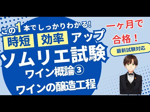 【語呂ワイン／ソムリエ/ワインエキスパート試験】ワイン概論（赤ワイン、白ワイン、シャンパーニュの醸造工程）