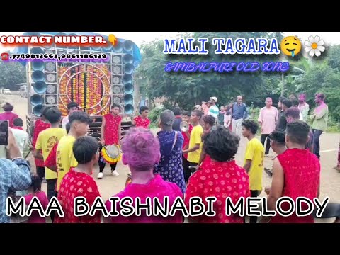 Mui Tor Mali Tagara Sambalpuri Song || Maa Baishnabi Melody Khariar Road || ☎️.7749013663,9861186139