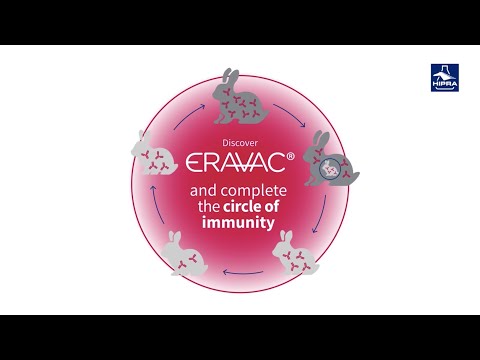 ERAVAC® - The circle of immunity against RHDV2 (rabbit haemorrhagic disease type 2)