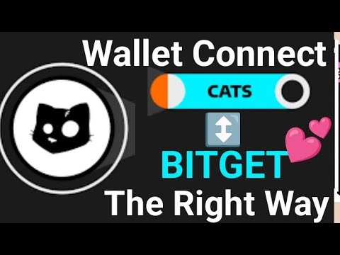 CATS Airdrop Withdrawal - How To Properly Connect Your CATS To Bitget For Airdrop