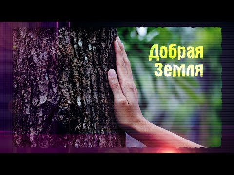 Мы ДЕТИ Земли ОДНОЙ 🌿ХорошО-да-ЛаднО - Добрая Земля 🌞Песни для Души