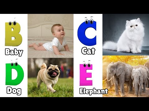 A for Apple Song for Kids | ABC Song | Phonics for Kids | Alphabet Letters | Learn ABC | Baby